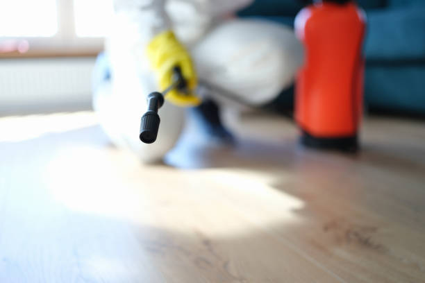 Best Crawl Space Mold Remediation  in Corbin, KY