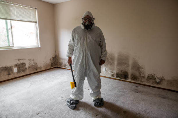 Best Comprehensive Air Testing for Mold Contaminants  in Corbin, KY